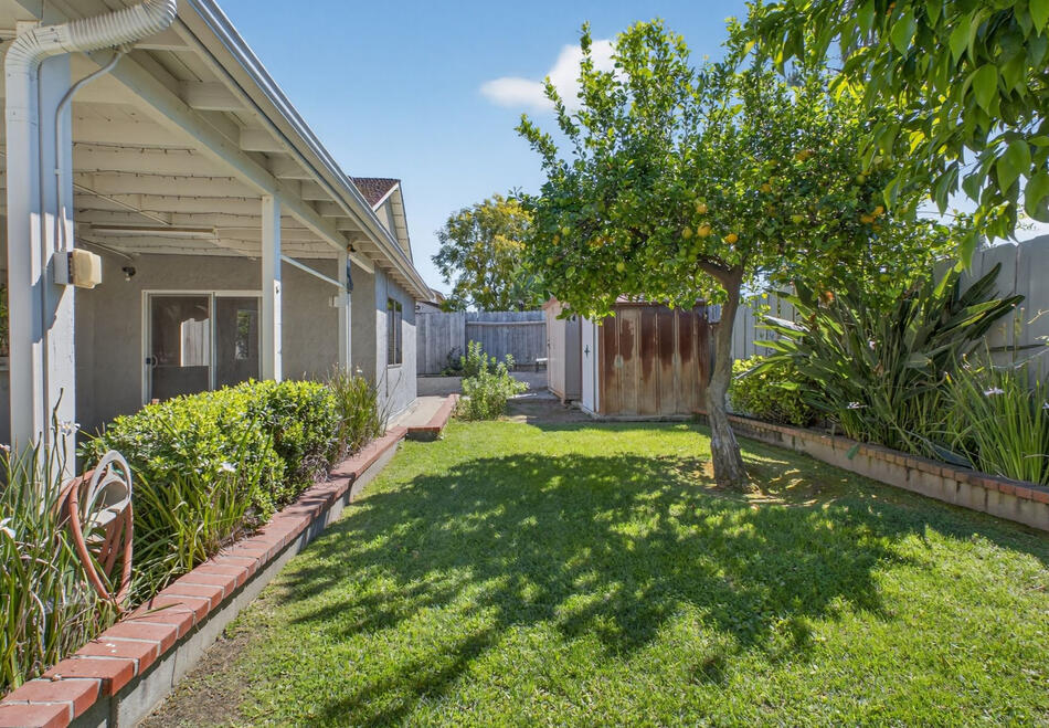 EXT_Backyard EXT_Backyard